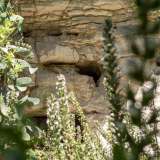 In basso a sinistra, coperte dalla vegetazione ci sono la grotta Ferdinando, una delle pi� grandi del Pulo e pi� in fondo la grotta Carolina. Sono dedicate a Ferdinando IV di Borbone e Maria Carolina d�Austria, regnanti borbonici